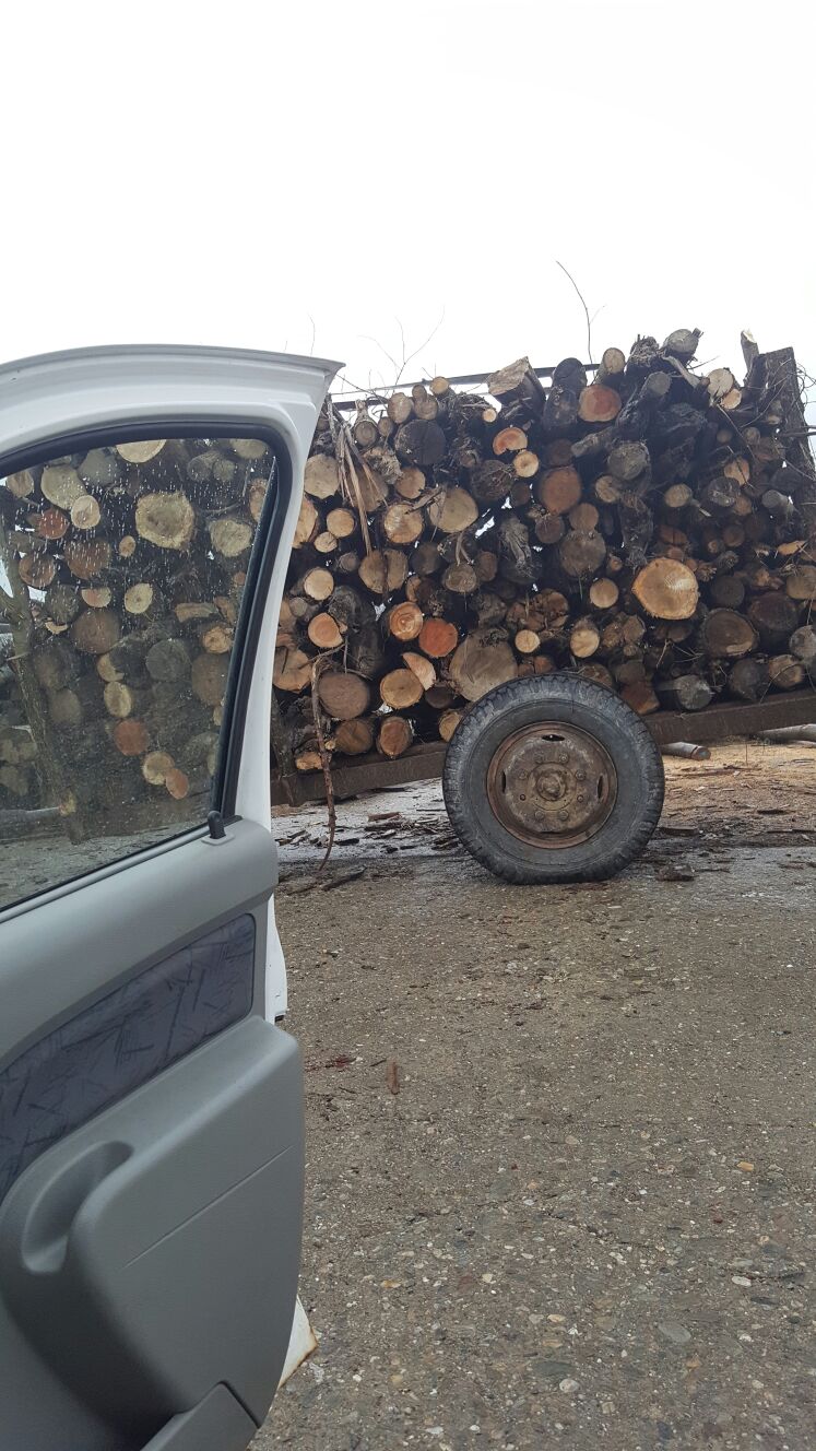 Transport de lemne furate oprit de polițiști