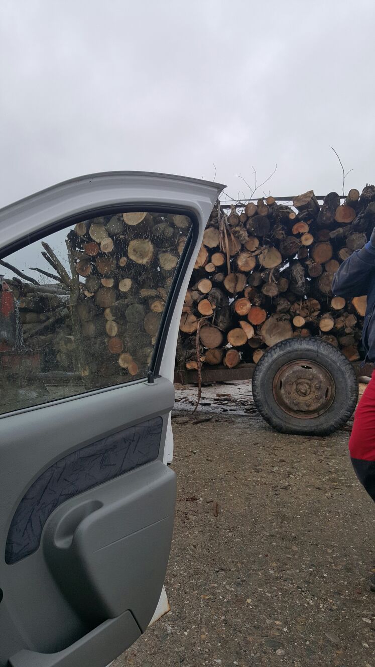 Un bărbat din Roșia prins cu lemne de foc furate