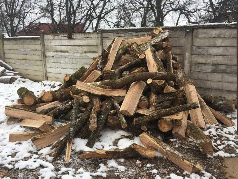 Amendat cu 5.000 de lei pentru 3 metri cubi de lemne fără documente