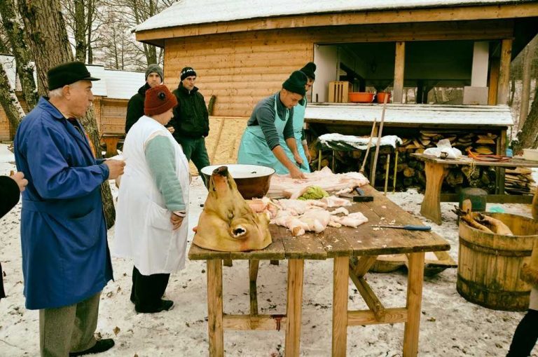 Un porc de 200 de kilograme va fi pârlit și tranșat la Muzeul Astra din Sibiu
