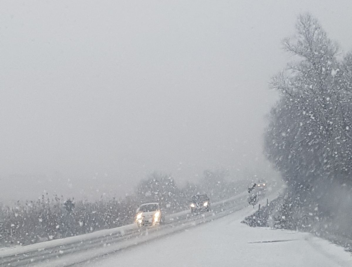 Cod galben și portocaliu de ninsori și viscol