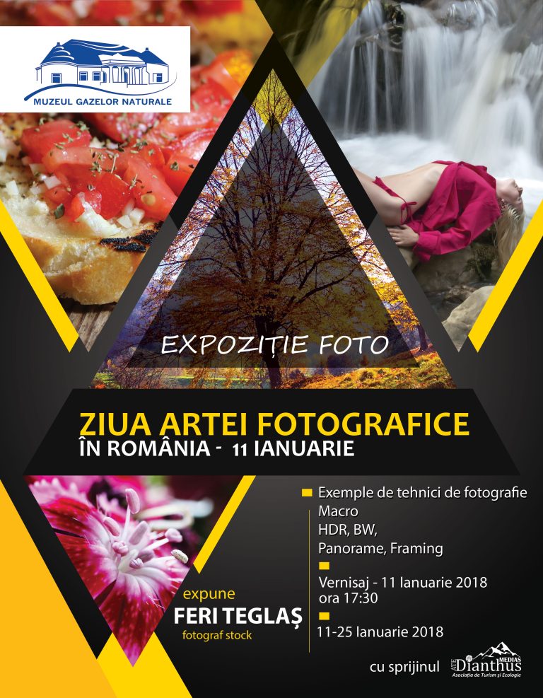 Muzeul Gazelor marchează Ziua Artei Fotografice