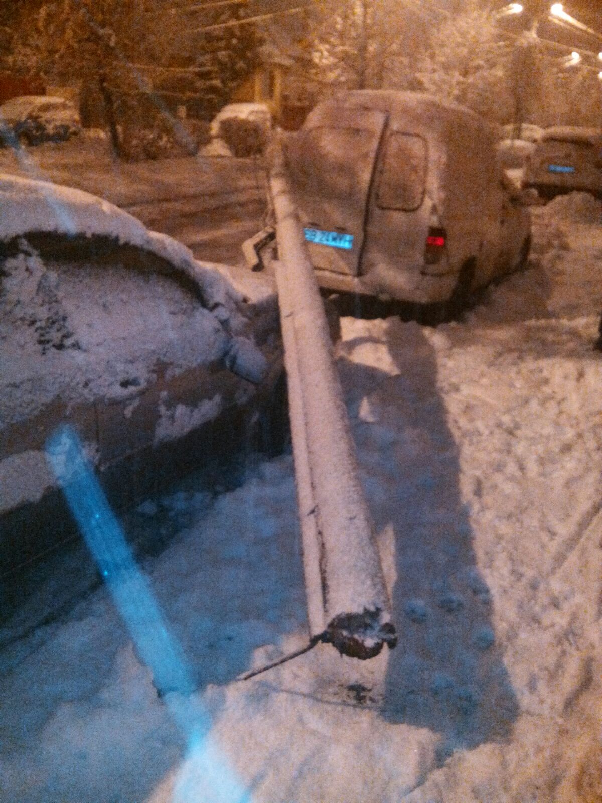 FOTO: Doi copaci au căzut pe trotuar iar un stâlp de lemn s-a prăbușit pe o mașină