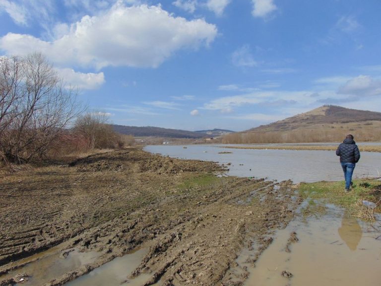 FOTO – Aproape 25 de hectare de teren inundate de râul Târnava Mare la Mediaș