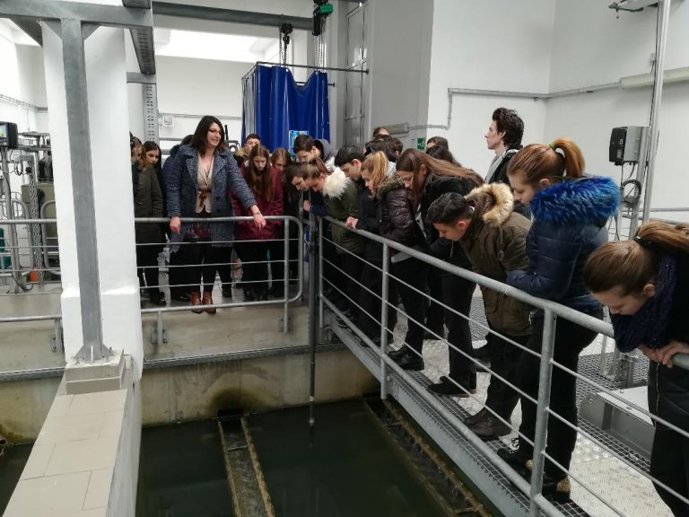 FOTO – Ziua Mondială a Apei, marcată la Mediaș