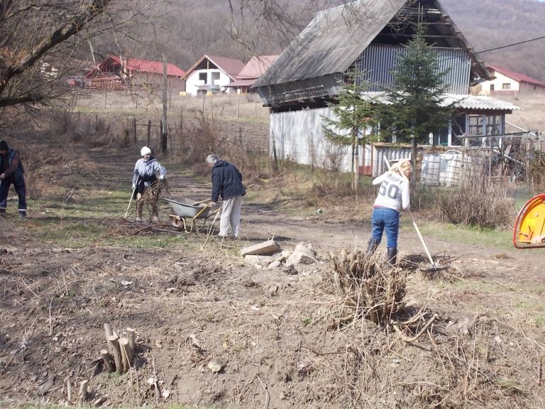 FOTO – Zona Wewern, curățată de asistații sociali și operatorul de salubritate