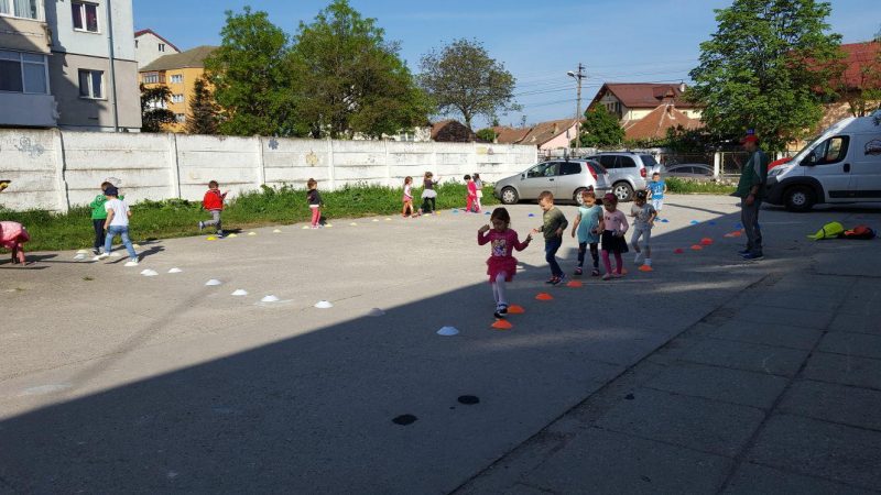 ziua portiloe deschise gradi 14