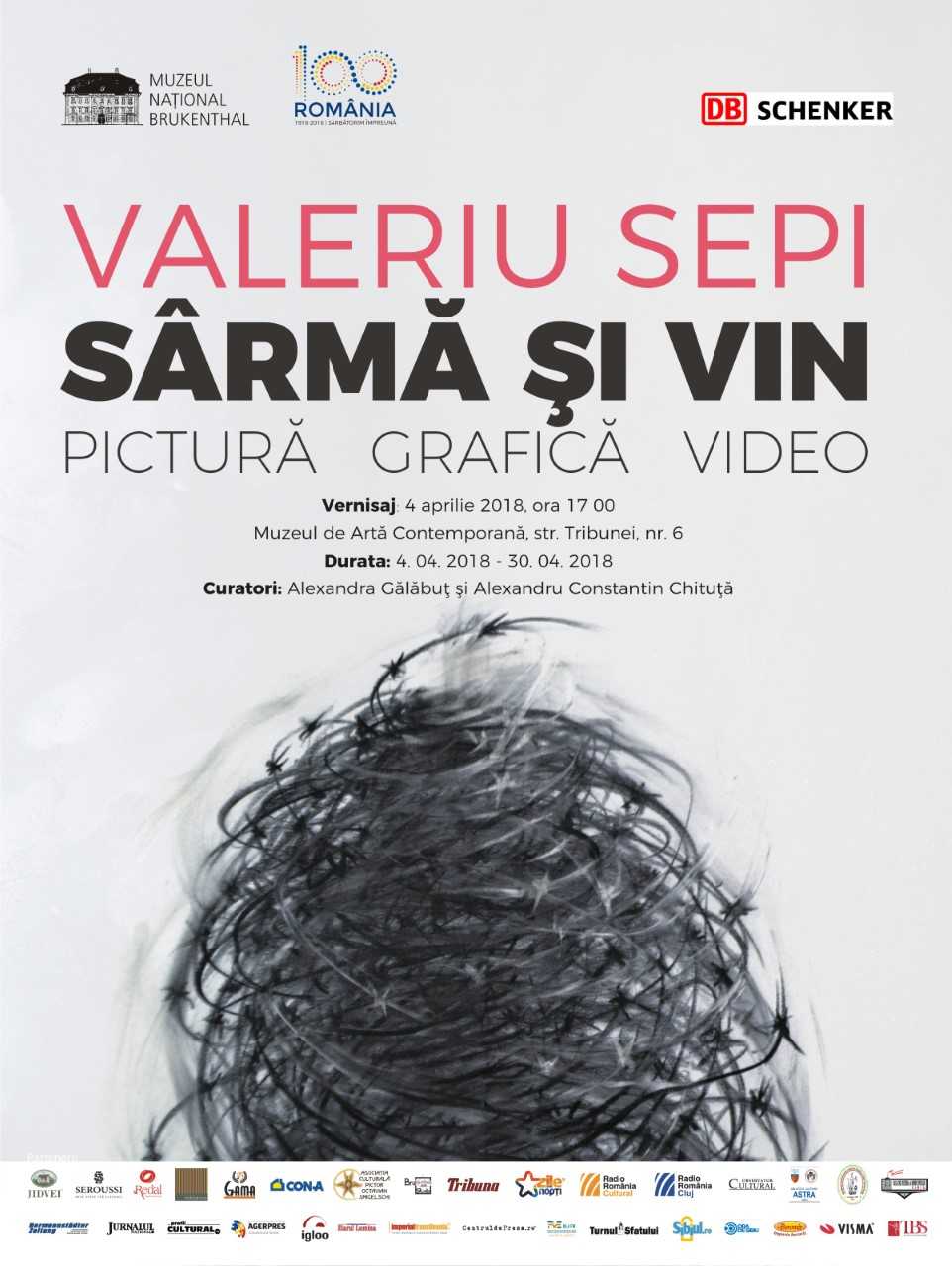 Expoziția „Sârmă și Vin” la Muzeul de Artă Contemporană Sibiu