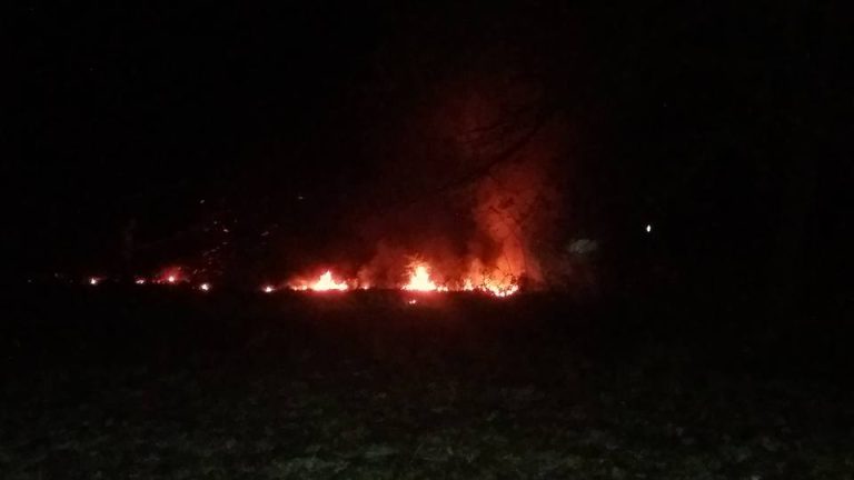 FOTO – Două hectare de vegetație au ars, duminică după amiaza