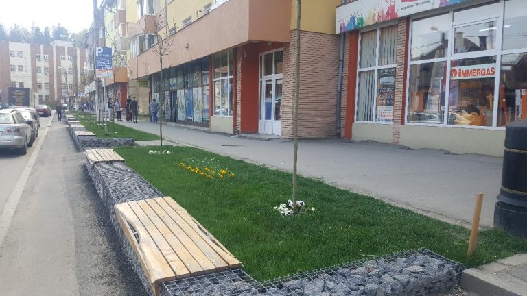 Continuă amenajarea zonelor și spațiilor verzi din oraș