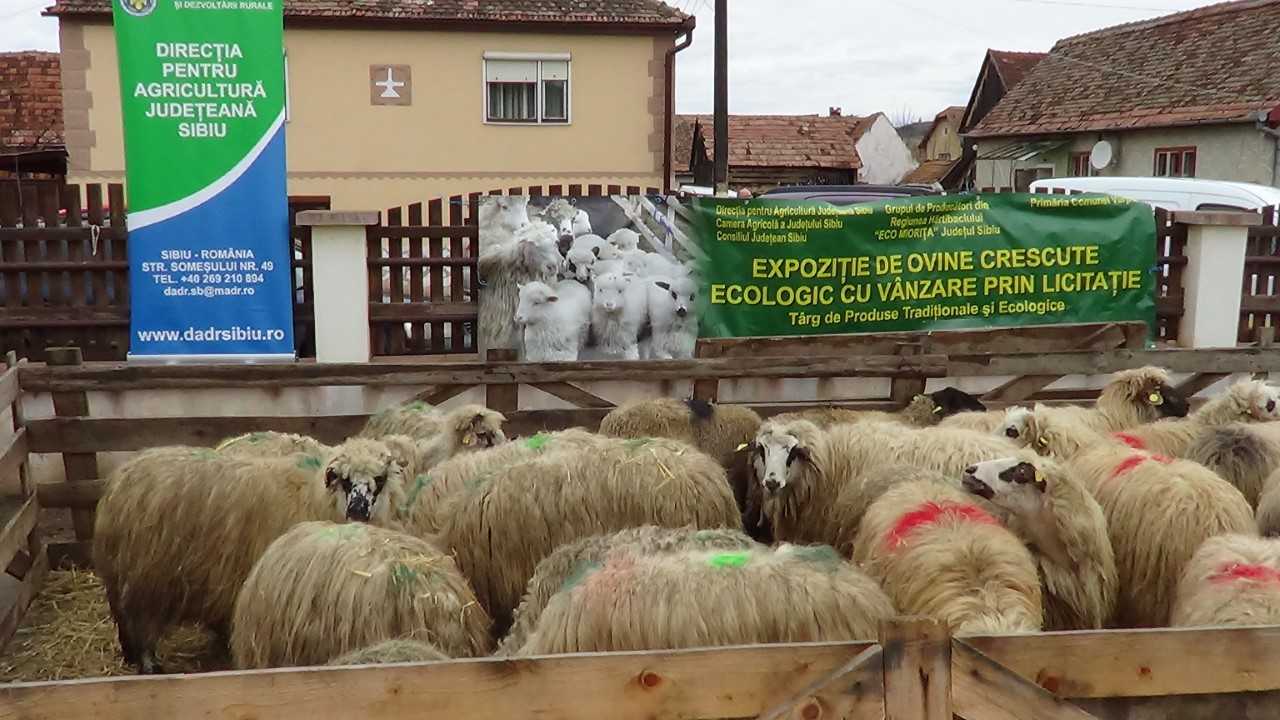 FOTO – Sprijin pentru fermierul Călin Naiță care și-a pierdut animalele în incendiul din 23 martie