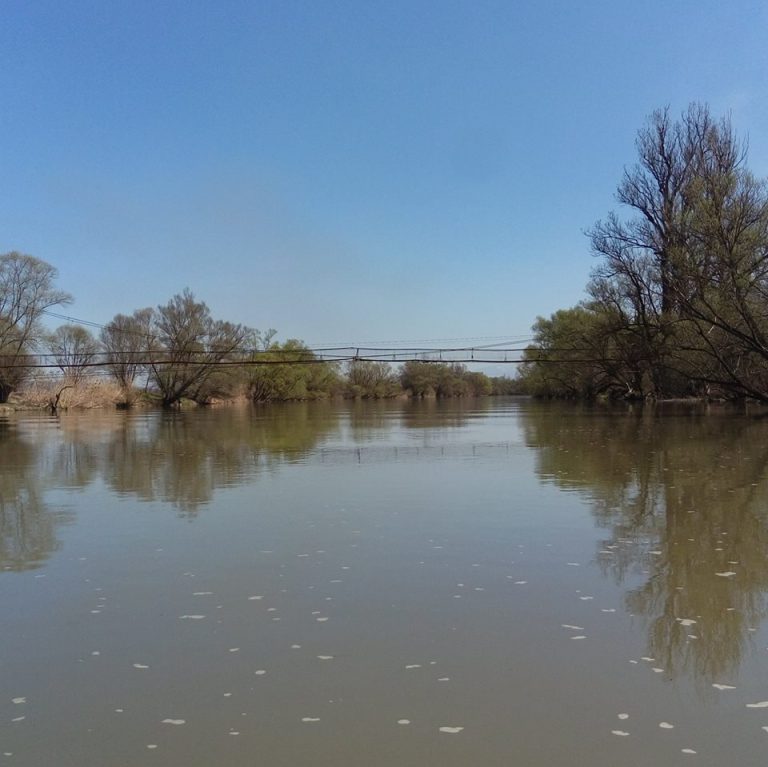 Minor prins în timp ce pescuia ilegal