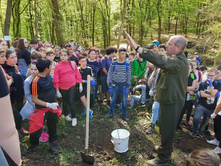 FOTO – Sute de elevi medieșeni la o acțiune de plantare de puieți