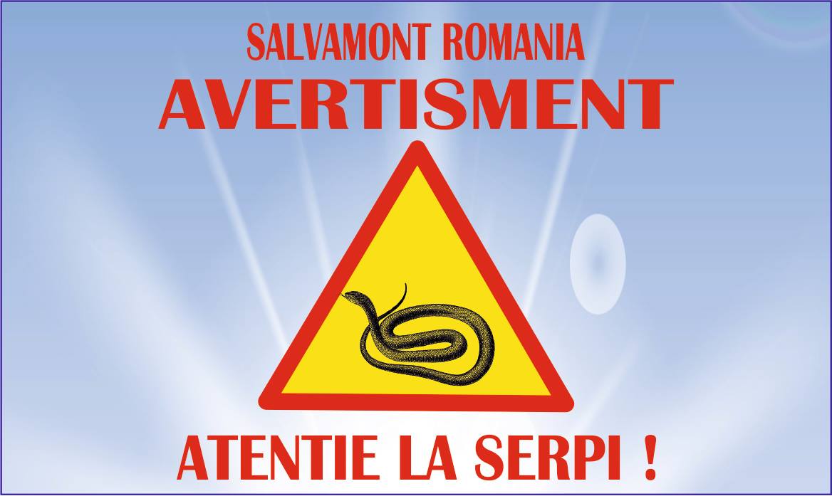 Serpii, un potential pericol pentru turisti