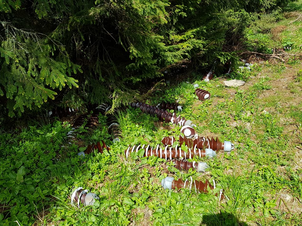 igienizare Muntii Cindrel