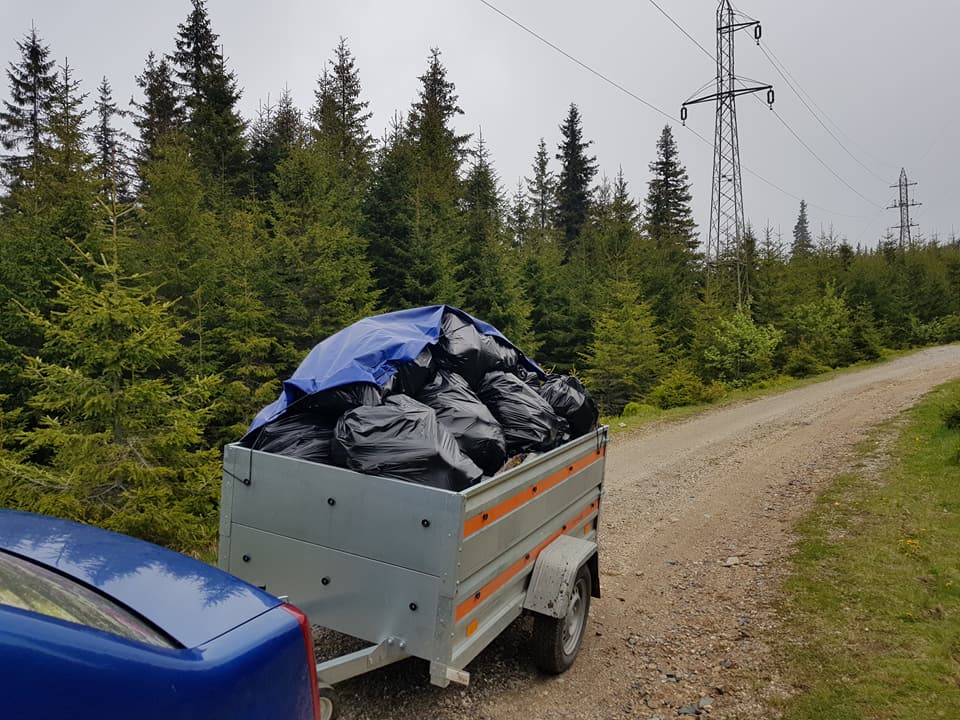 igienizare Muntii Cindrel