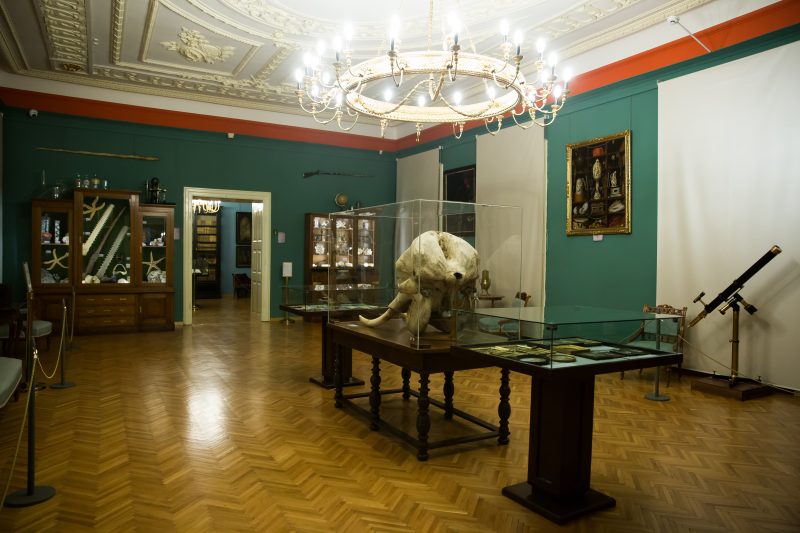 Expozitie Brukenthal