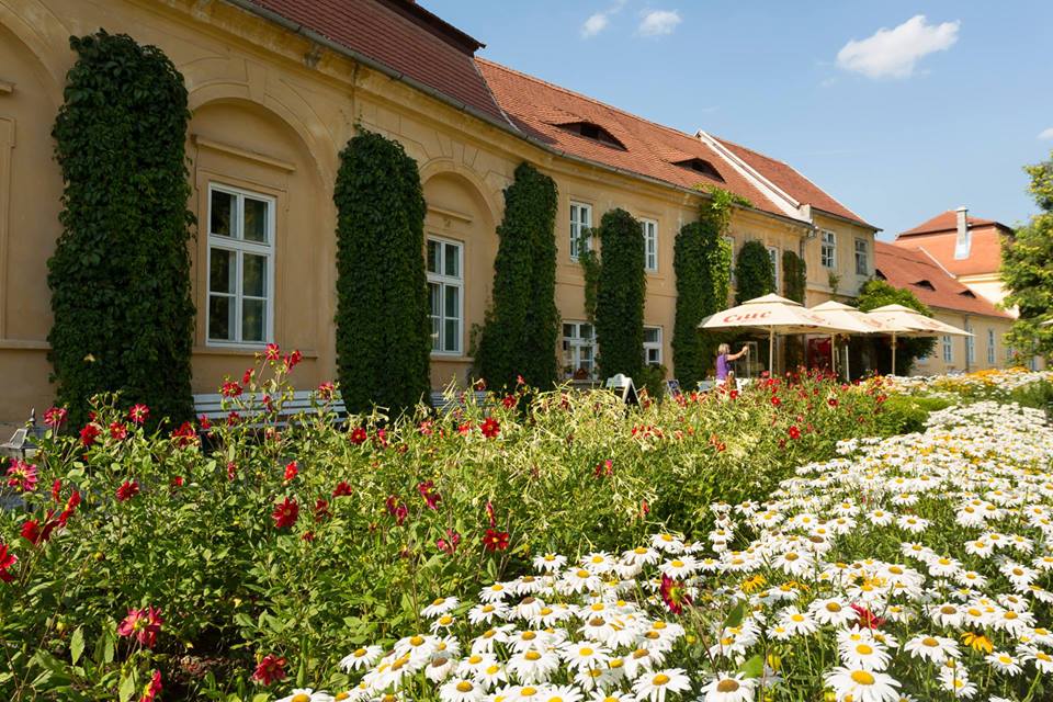 Mai multe locuri la „Vânătoarea de ouă” de la Palatul Brukenthal Avrig