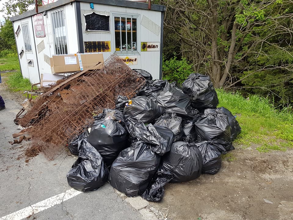 igienizare Muntii Cindrel