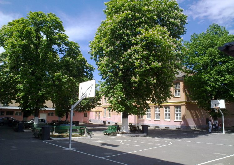 Elevii își aprofundează, în vacanță, cunoștințele de limba franceză