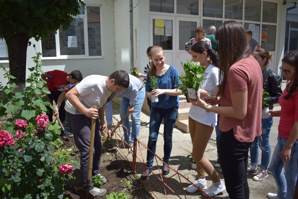 Peste 500 de flori și arbori plantați în campania „Iubim Sibiul, să-l lăsăm să respire!”