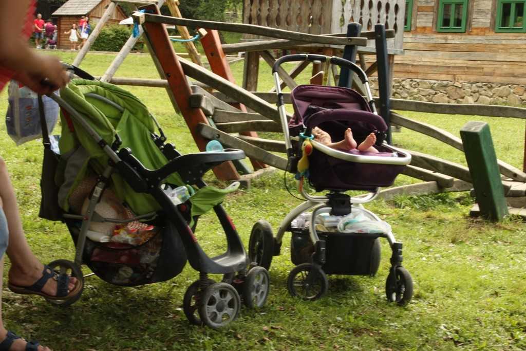 Ziua Sugarului, mutată în 8 iulie din cauza vremii nefavorabile