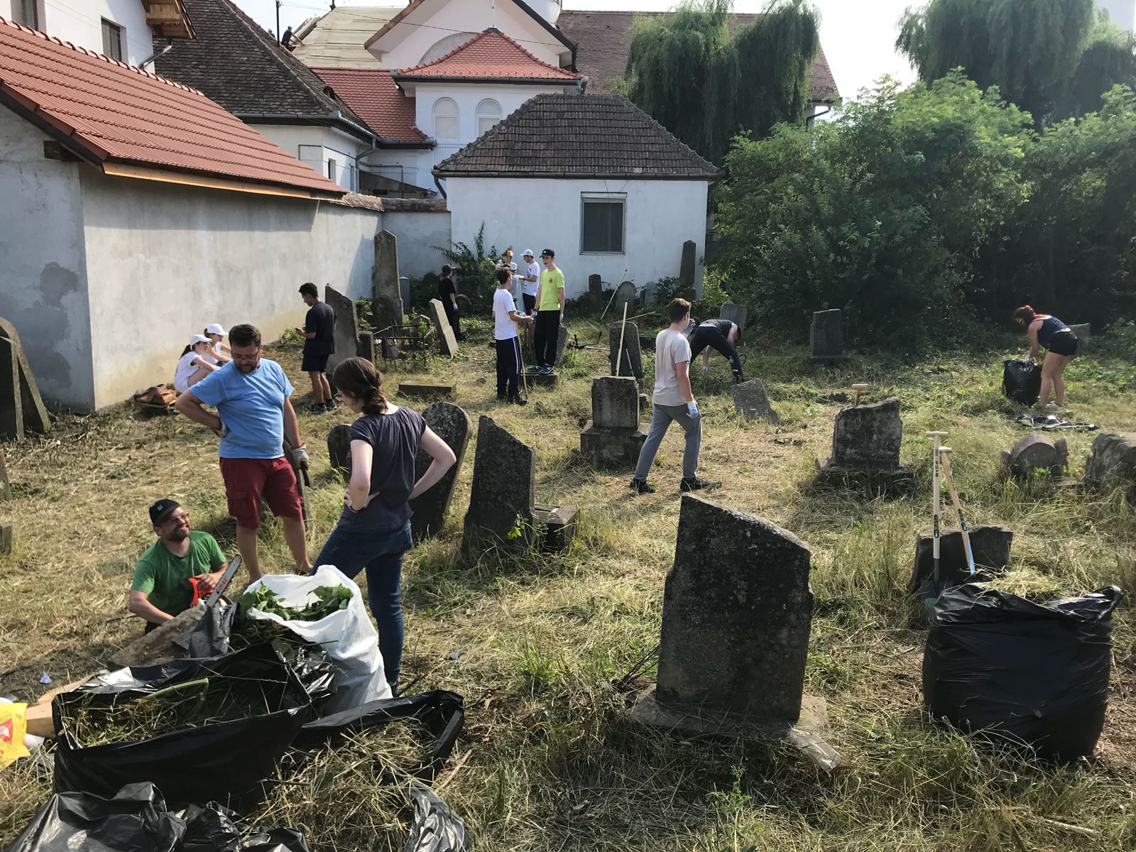 Cimitirul evreiesc din Gusterita, scos la lumina de voluntari printr-un proiect al FDGR