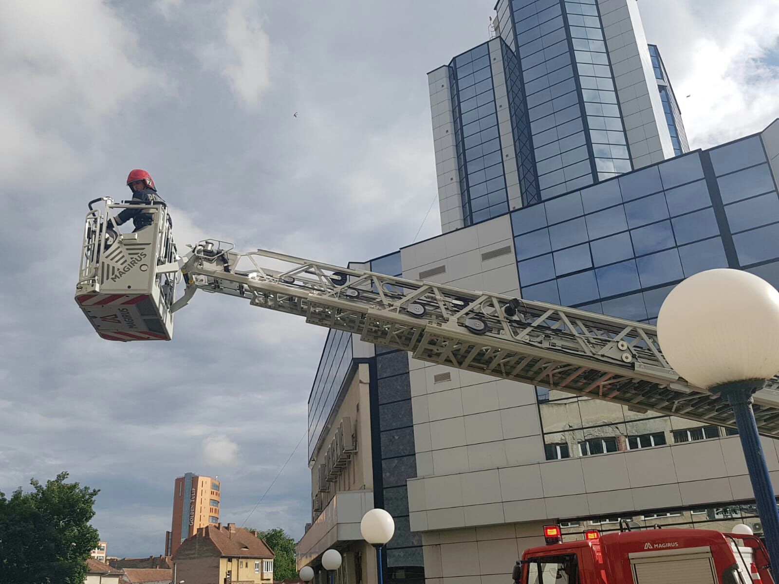 FOTO: Pescăruș rănit salvat de pompieri de pe o clădire din centrul orașului