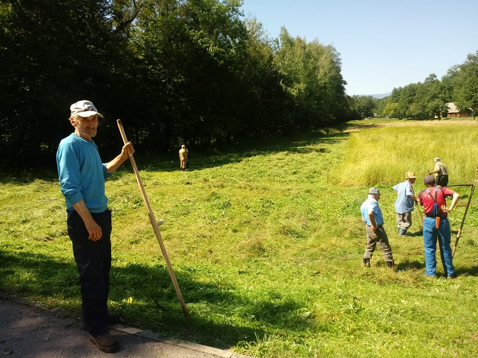 Cosaşul care a revenit la munca în natură