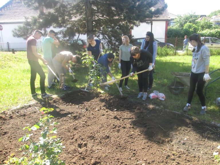 FOTO – Liceul ”Axente Sever” Mediaș, cel mai activ din nordul județului in campania ”Let’s get Green”
