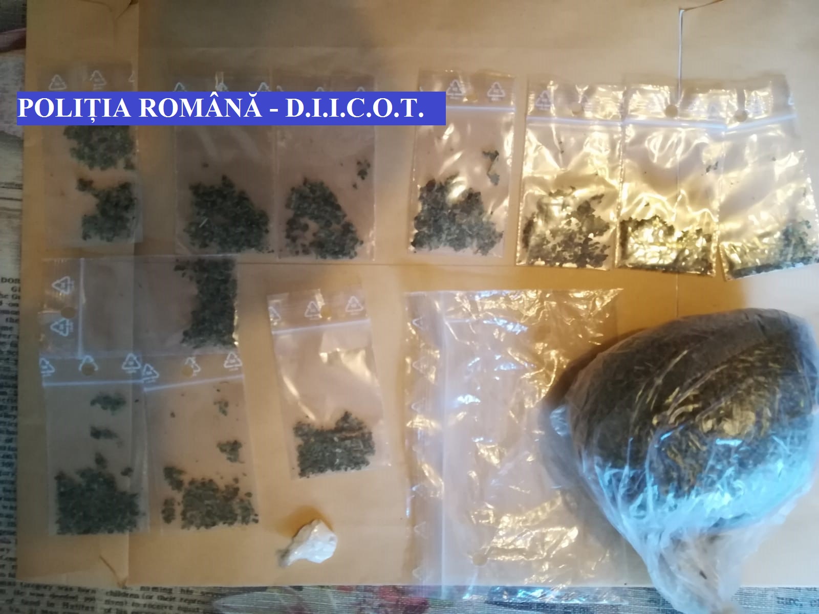 FOTO: Zeci de percheziții la traficanți de droguri de mare risc