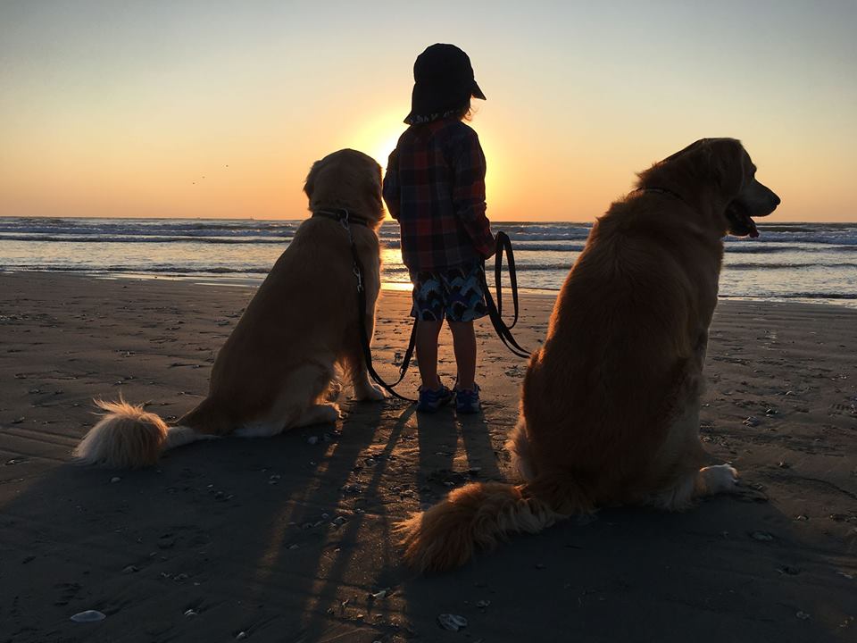 Cea mai amplă plimbare cu cățelul, în Sub Arini