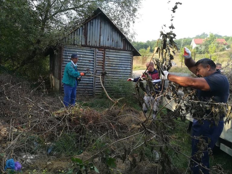 FOTO – Angajații Apa Târnavei Mari, la Let’s do it, România
