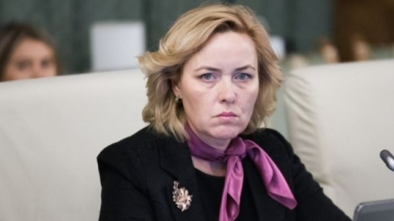 Senat: Audieri în Comisia de apărare pe tema protestului din 10 august; Carmen Dan, printre invitaţi