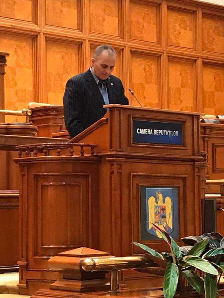 Nicolae Neagu:  Referendumul de revizuire a Constituției României a fost aprobat prin sprijinul PNL