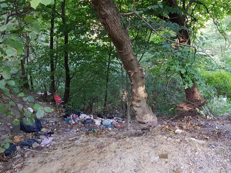 Ziua de curățenie națională „Let’s Do It, Romania!”, în 17 septembrie