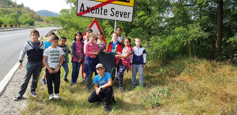 FOTO – 150 de elevi ai Școlii Gimnaziale din Axente Sever, la campania Let’s do it, România