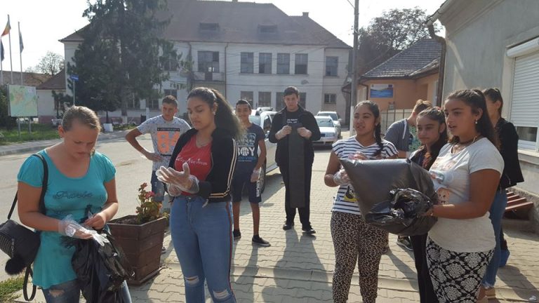 FOTO – Sute de voluntari din Tîrnava, la campania Let’s do it, România