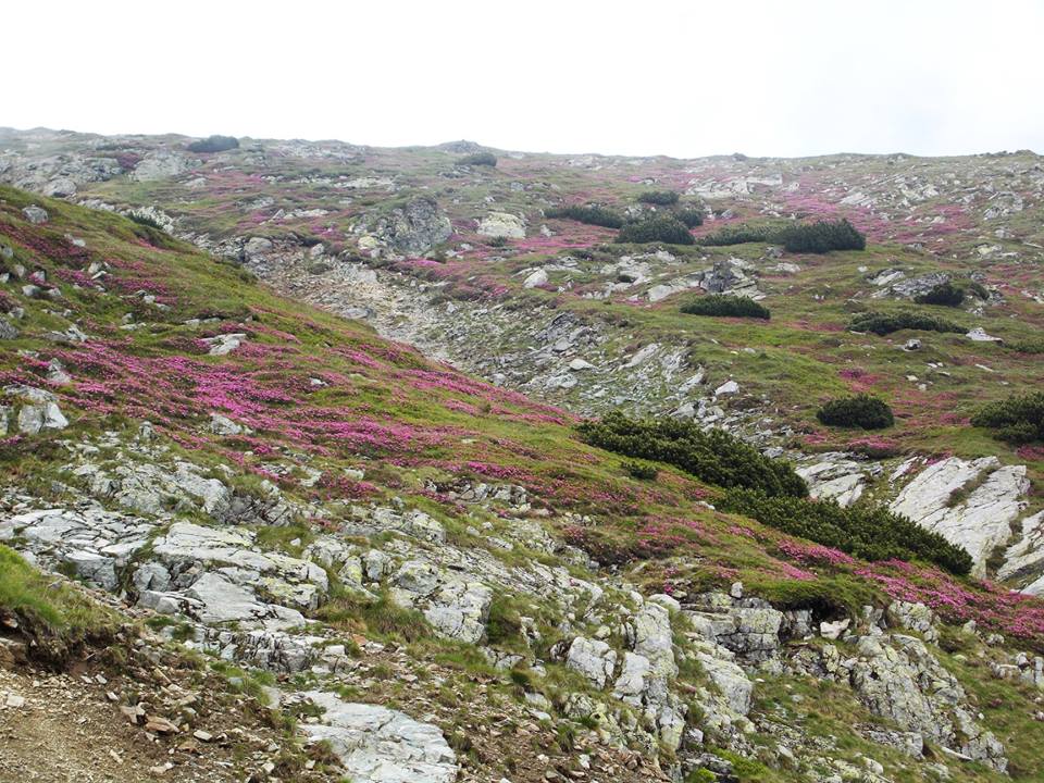 „Om şi munte”, într-o expoziţie de fotografie la Primăria Sibiu