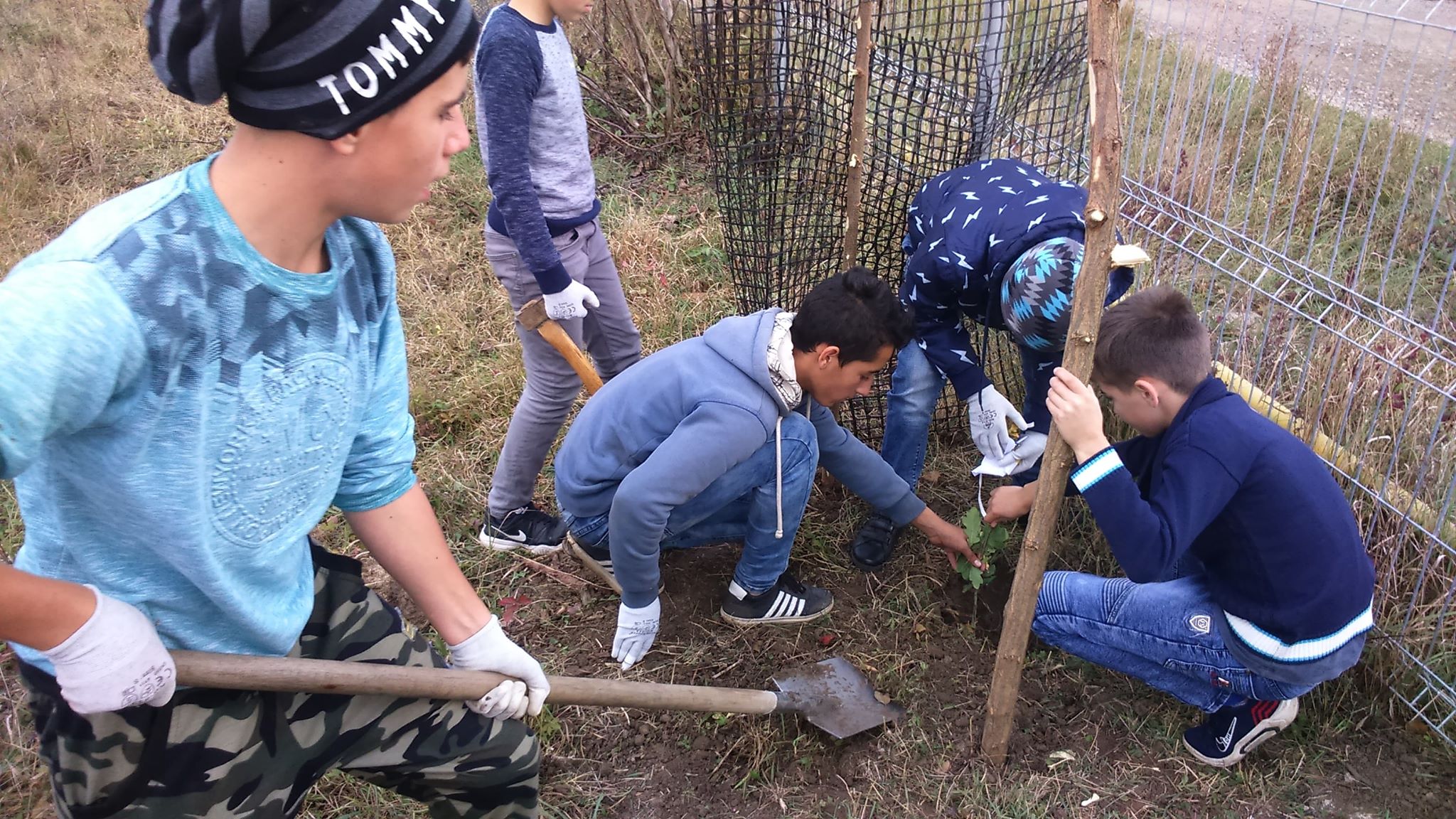 Zece stejari pentru cele zece provincii româneşti, plantaţi în curtea Şcolii din Ruşi