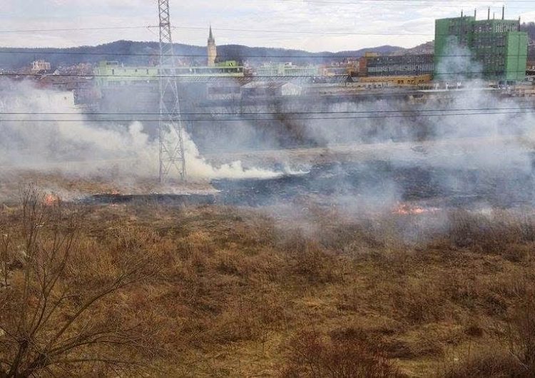 80 de incendii de vegetație în județul Sibiu, de la începutul anului
