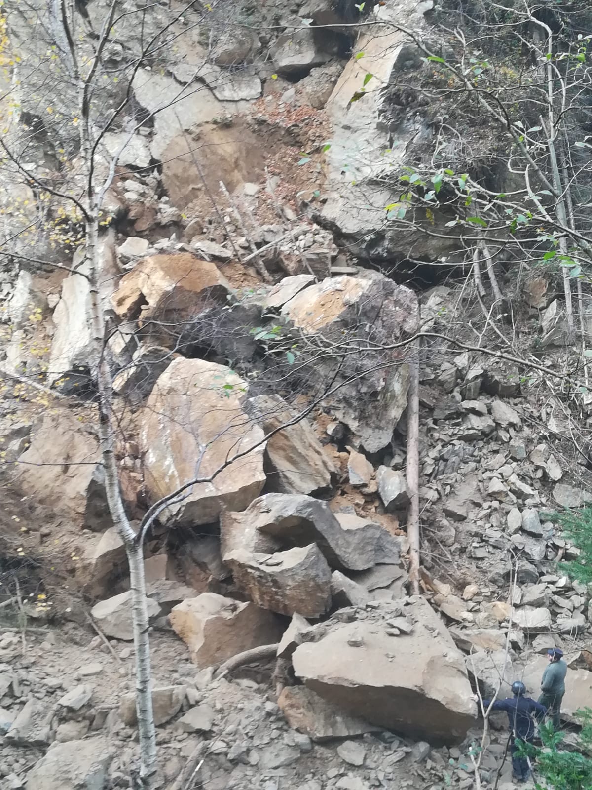 Derocare a unei stânci pe drumul forestier Sădurel