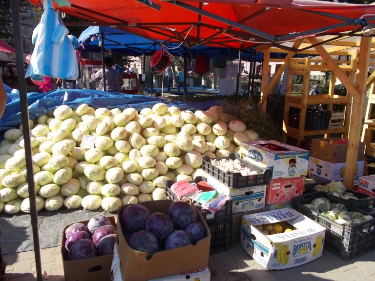 Festivalul Verzei aduce două zile pline de evenimente, la Moșna