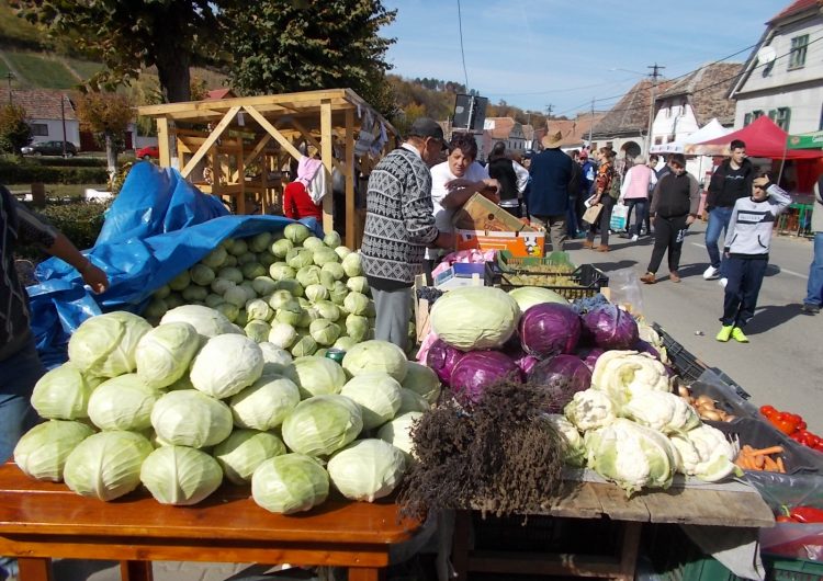 3 zile de Festival al Verzei, la Moșna