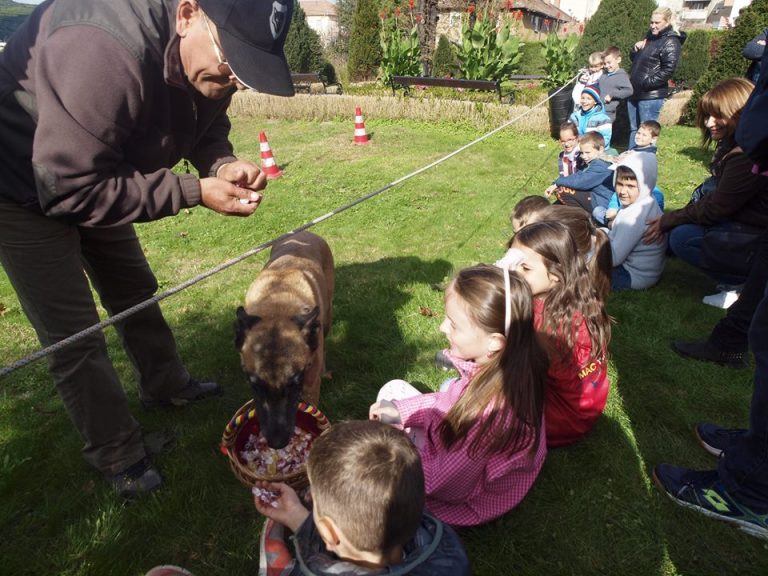 FOTO – Ziua Internațională a Animalelor, marcată la Muzeul Gazelor Naturale