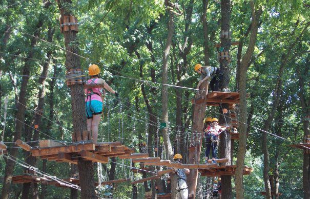 Mediașul va avea un Parc de Aventură