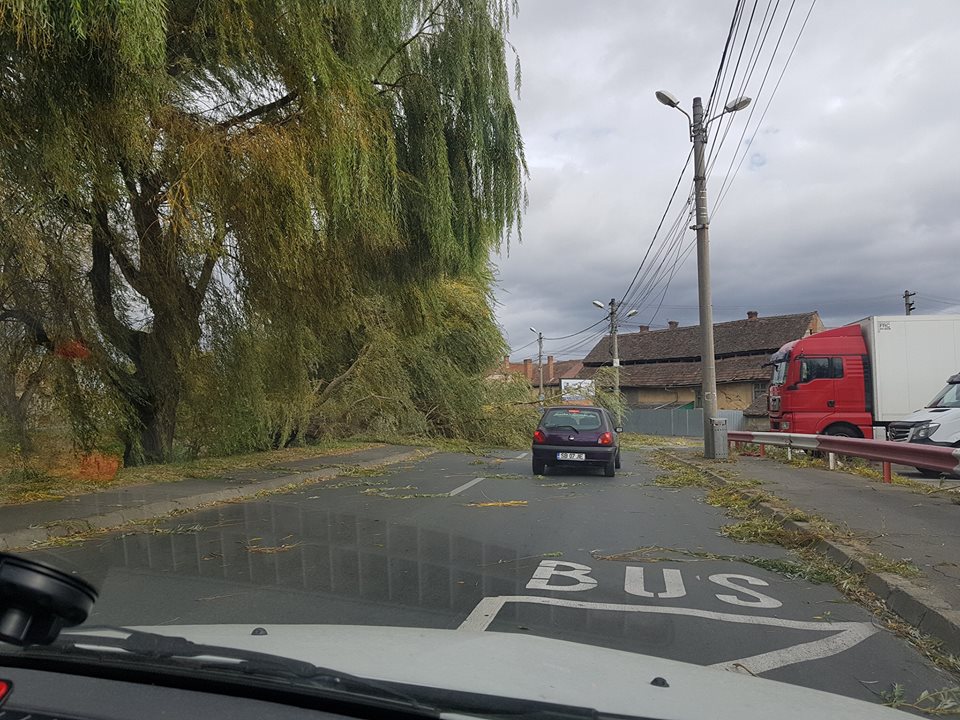 FOTO – Stradă blocată de un copac în municipiul Sibiu