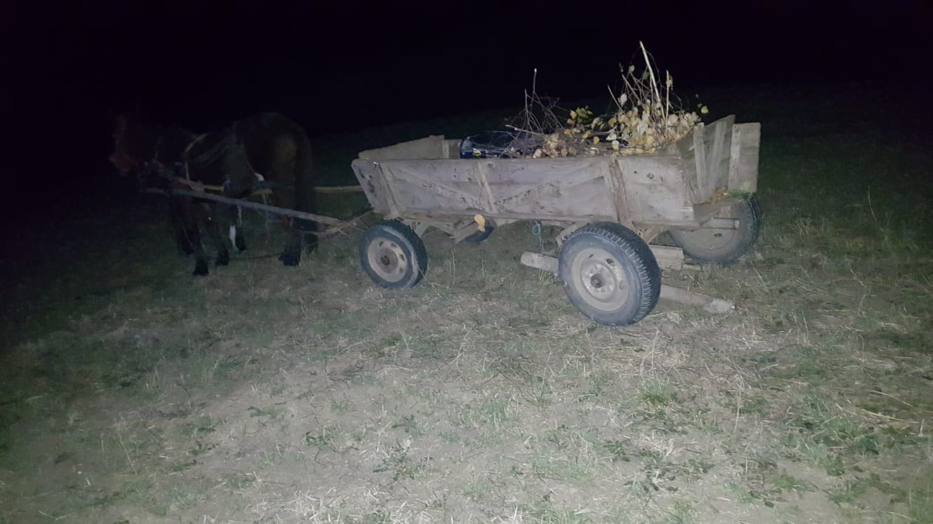 FOTO: Căruță nesemnalizată lovită de o mașină, un copil a fost rănit