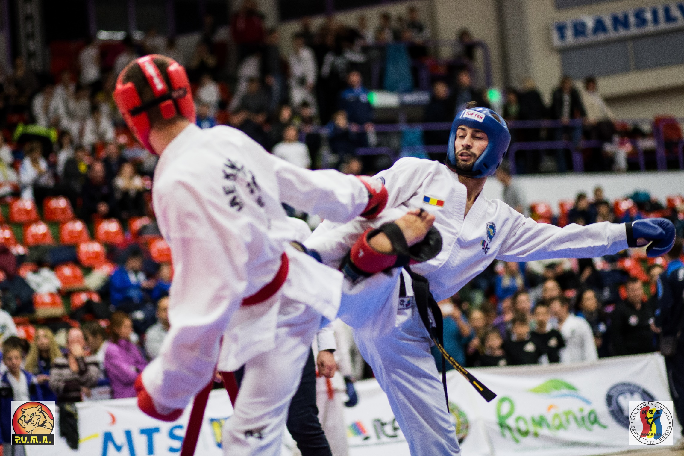 Cupa Europei aduce cei mai buni luptători de Taekwon-do la Sala Transilvania din Sibiu