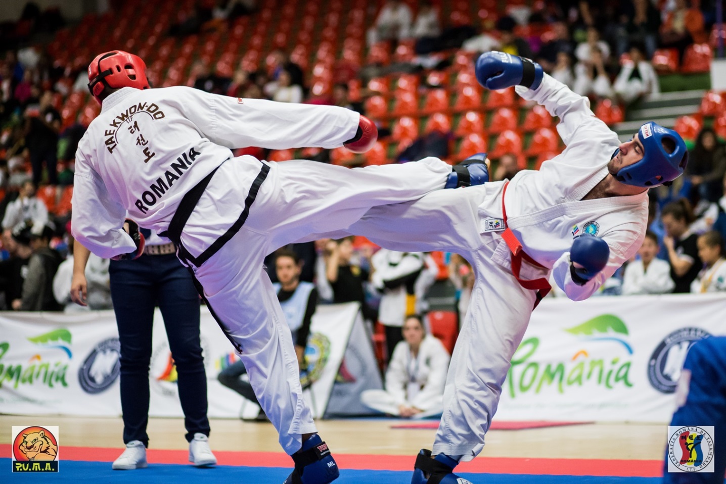 Cea mai mare cupă europeană de Taekwon-do începe mâine la Sala Transilvania din Sibiu
